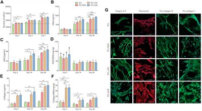 Nature-Derived and Synthetic Additives to poly(ɛ-Caprolactone) Nanofibrous Systems for Biomedicine; an Updated Overview